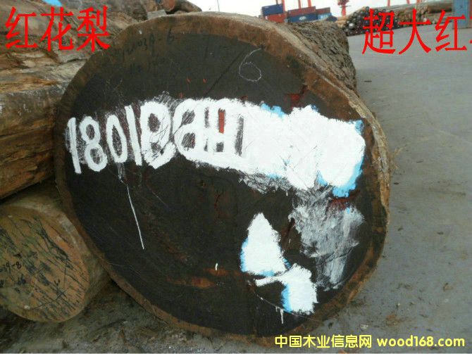 ��t�����Ԕ����B