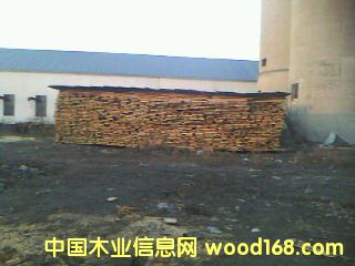 �ľ��ĵ�Ԕ����B