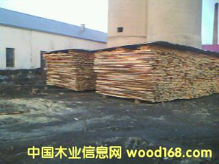 �ľ��ĵ�Ԕ����B