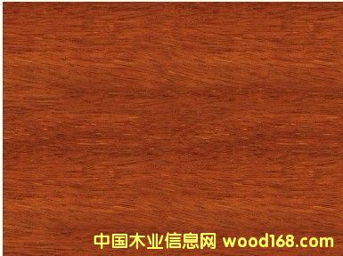 �����y��ľ��ġ��y��ľ����r���Ϻ��S���y��ľֱ�N��Ԕ����B