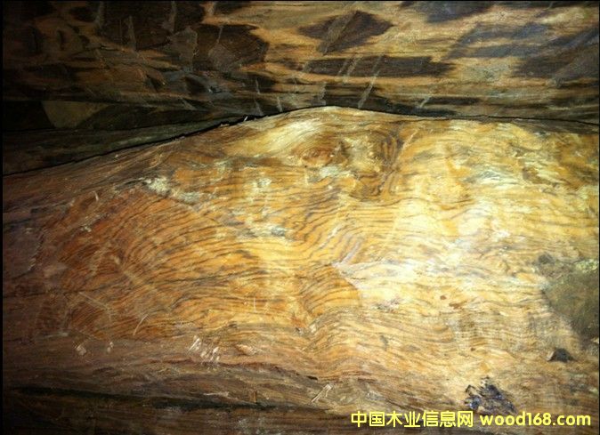 ��z�S�����Ԕ����B