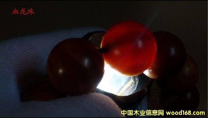 Ѫ��ľ