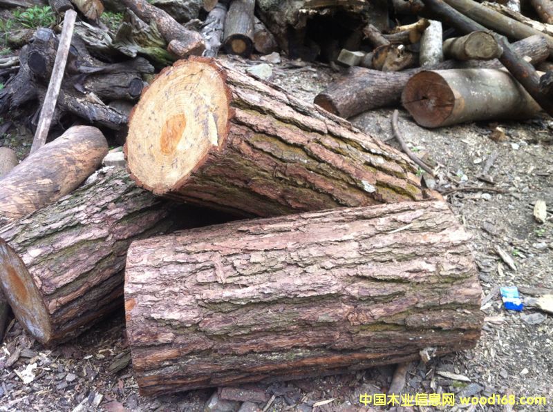 �sľ��Ԕ����B