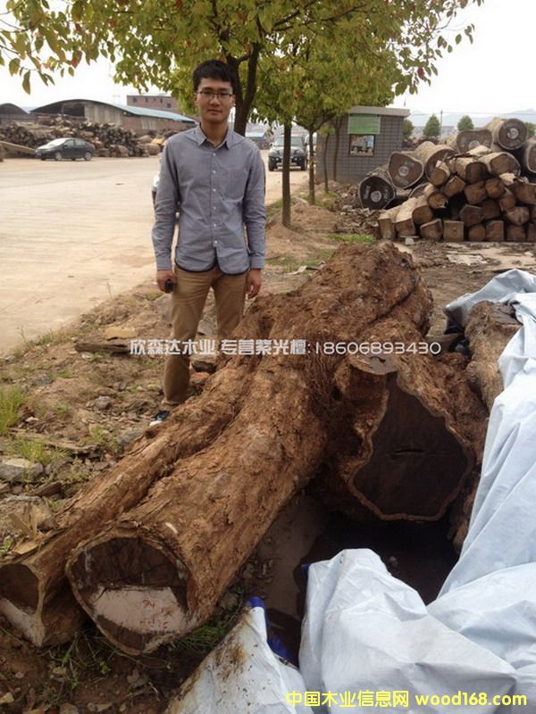 �Ϲ�̴����130226-11