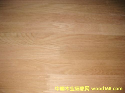 �t�𼯳ɲĵ�Ԕ����B