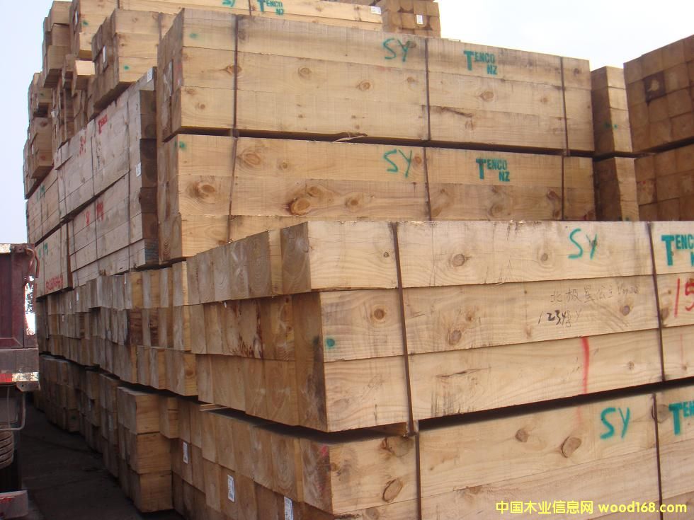 ݗ���ɵ�Ԕ����B