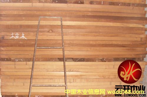 ��ľ��Ԕ����B