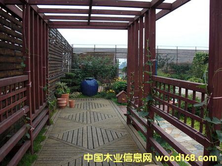 ����ľ��Ԕ����B