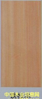 �Fɼ��Ԕ����B