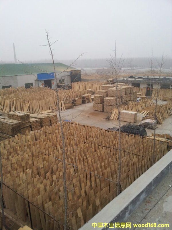 �ذ�������W�� ����