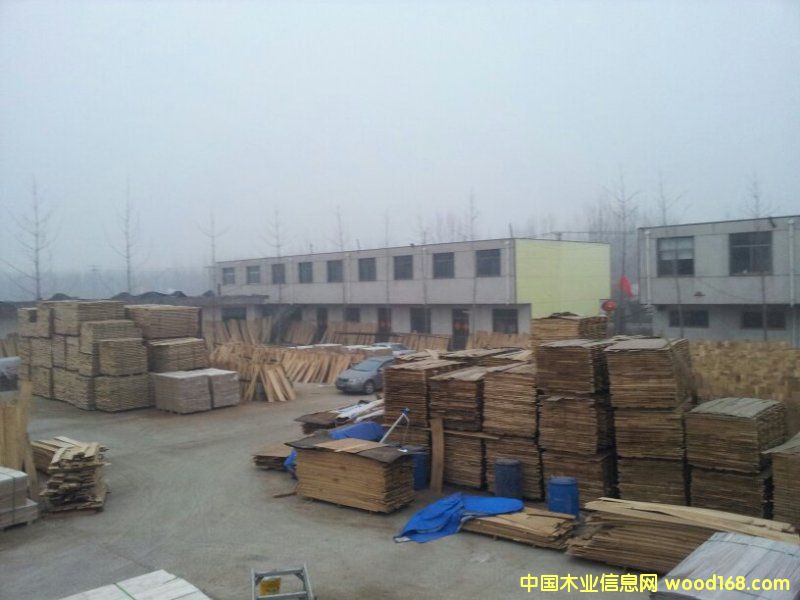 ��ľ�ذ����