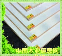 Ư�ח�ľ���Ӱ��Ԕ����B