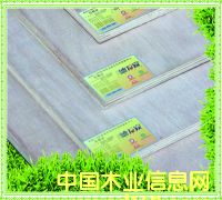 ���f��12mm������Ӱ�-�Ҿ߼���Ԕ����B