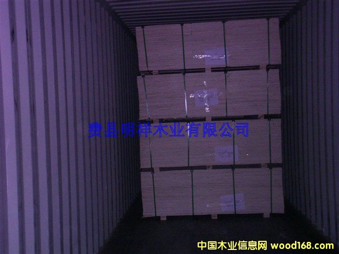 3x6���z�ϰ�