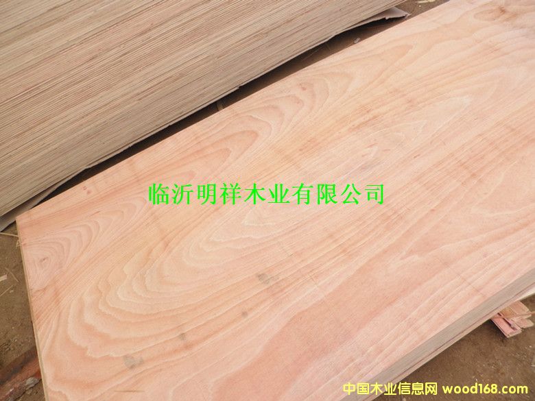 ����(y��ng)5���z�ϰ��Ԕ��(x��)��B