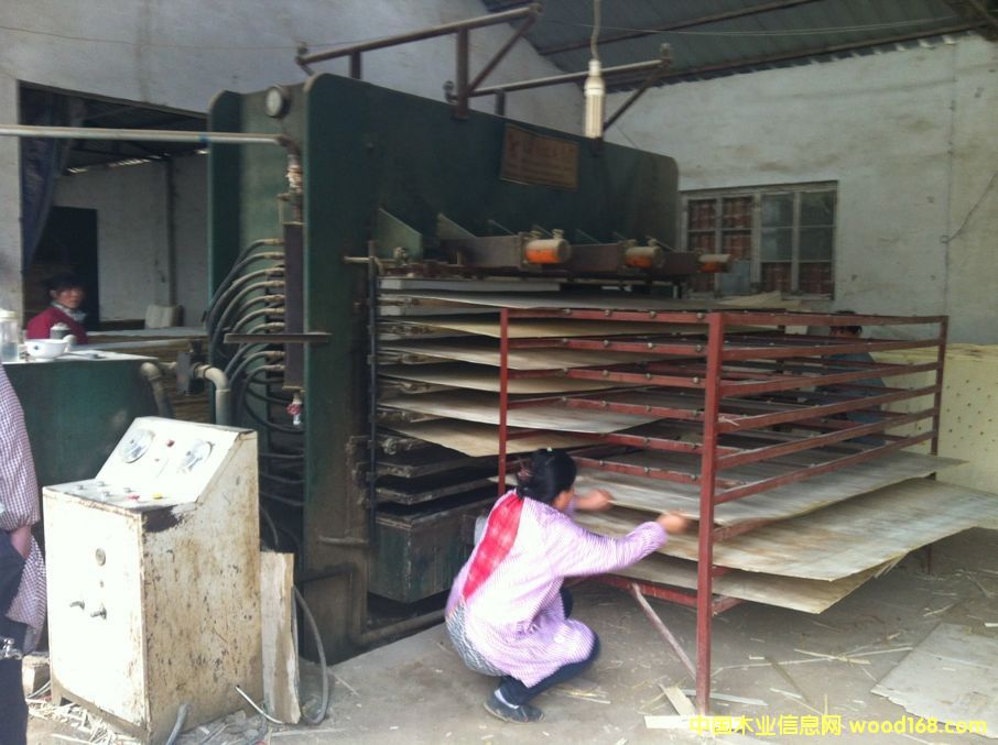 ������Ԕ����B