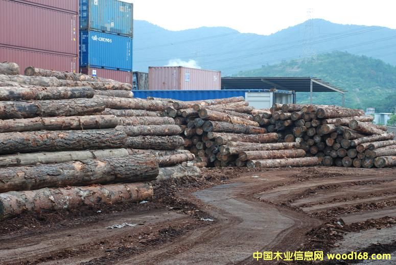 ������ԭľ��Ԕ����B