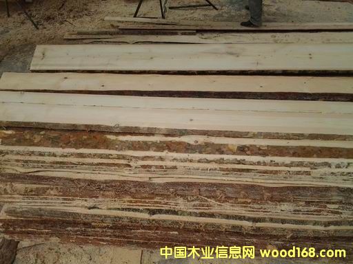 ľ���Ԕ����B