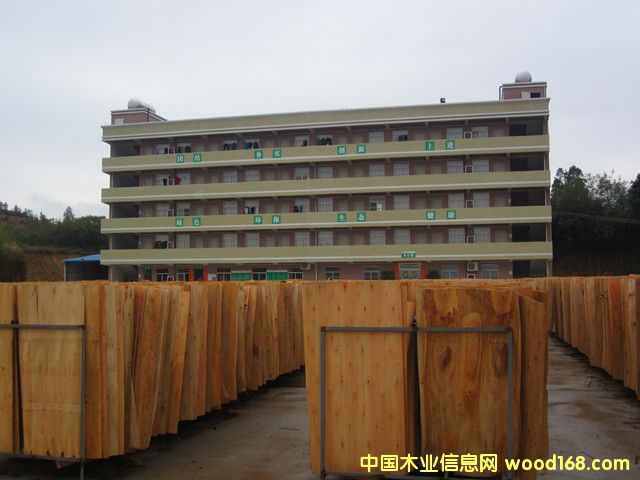 �T�������