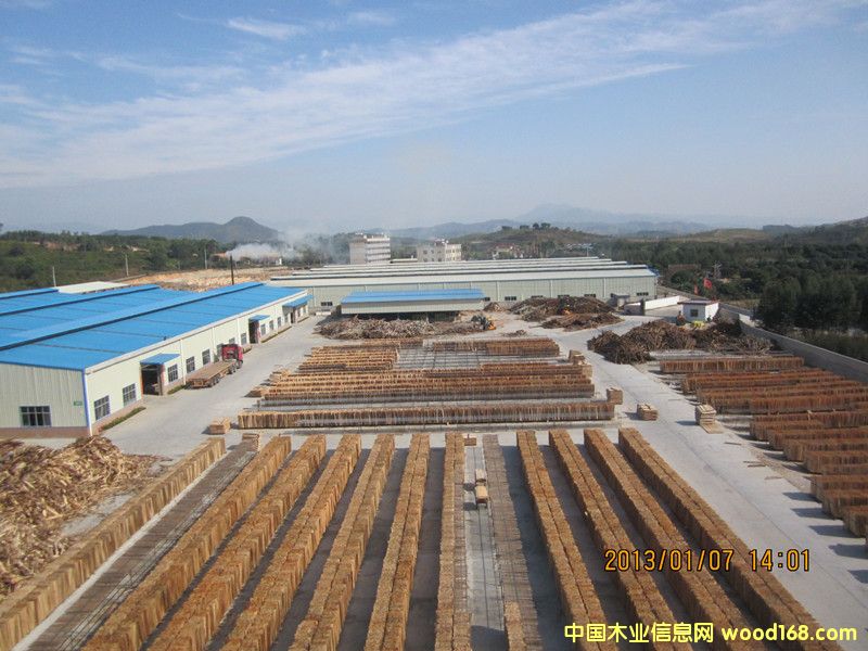 �����L(f��ng)����Ԕ��(x��)��B