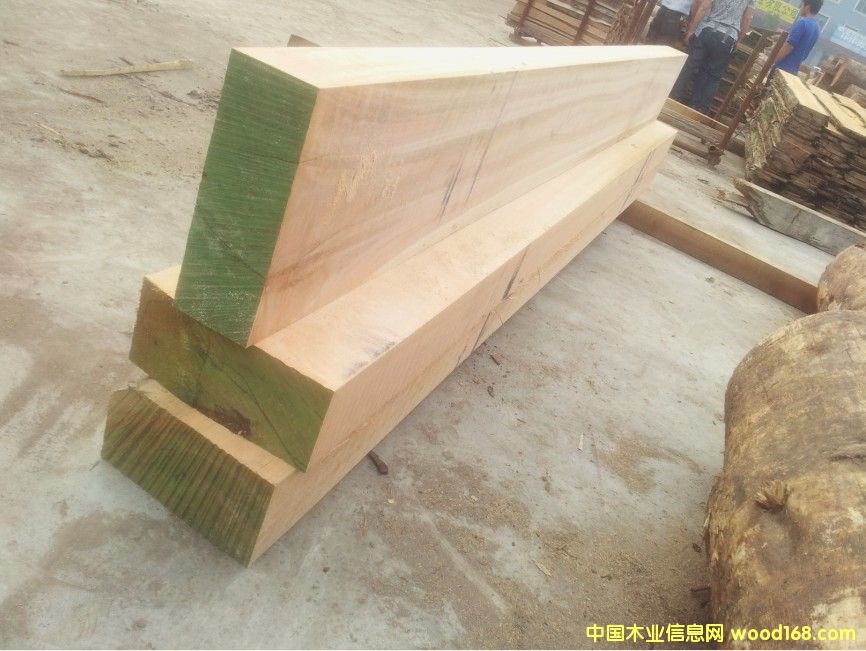 ��������ľ-õ��ľ��ĵ�Ԕ����B