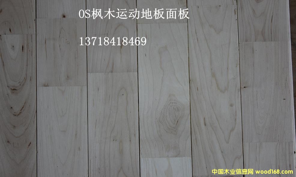 �w���\(y��n)��ľ�ذ�