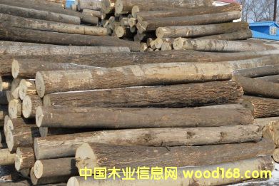 ���ԭľ��Ԕ����B