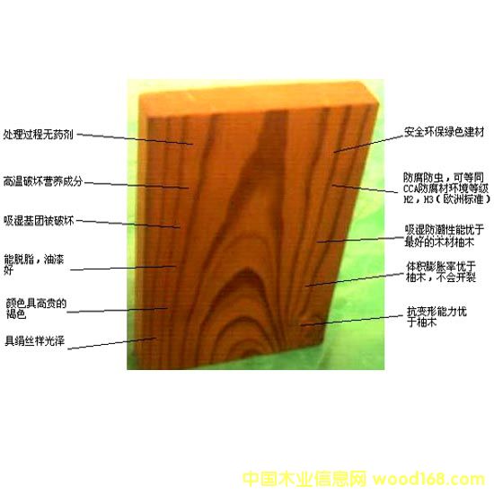 �c���鿴̿��ľ�Ŵ�DƬ
