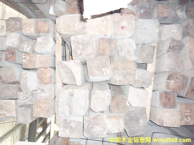 ��֦ľ��Ԕ��(x��)��B