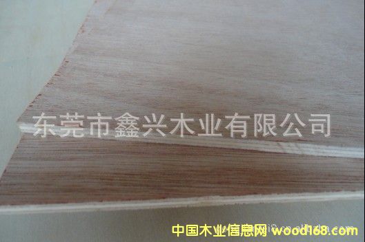 �����һ�оľ��