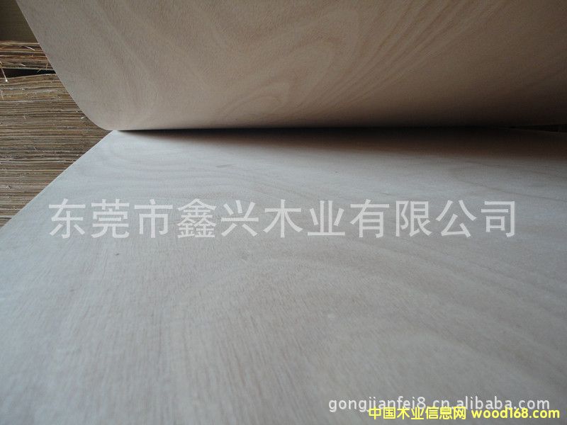 �����W�����N����Ӱ�