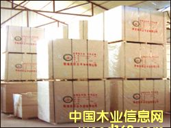 ����ģ���Ԕ����B