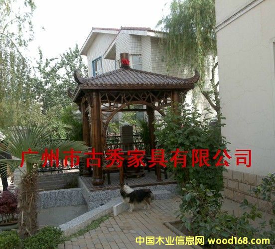 �V�ݛ�ͤ��Ԕ��(x��)��B