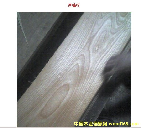 ���Ϙ��Ԕ����B