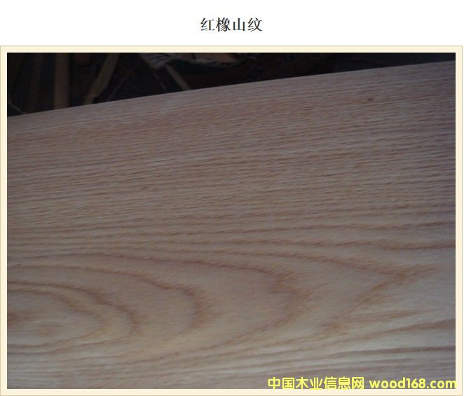 �t��ɽ�y��Ԕ����B