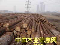 ���ɵ�Ԕ����B