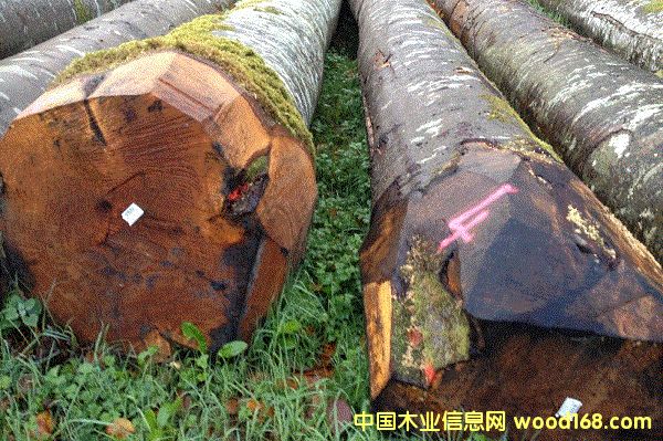 ����ľ��Ԕ����B