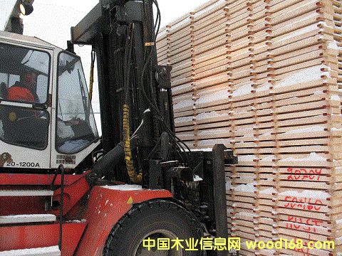 ���m��ľ���1��Ԕ����B