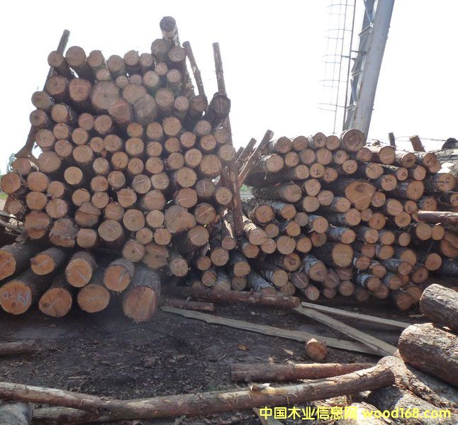 ��ľ��Ԕ����B