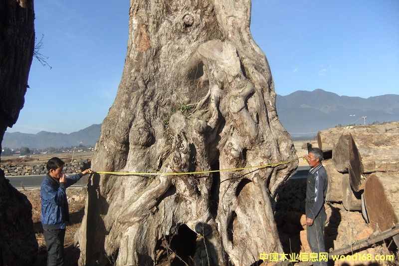 �ľ��Ԕ����B