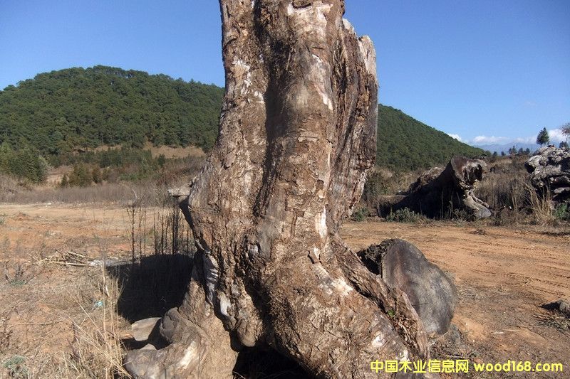 �ľ��Ԕ����B