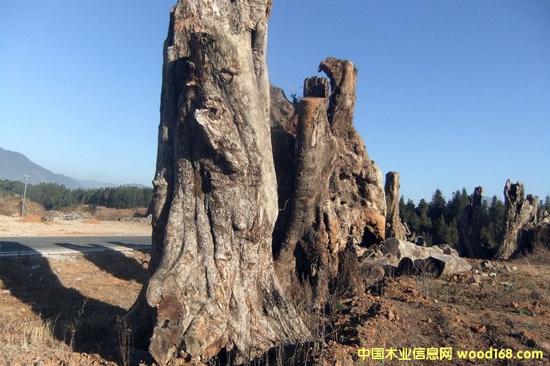 �ľ��Ԕ����B