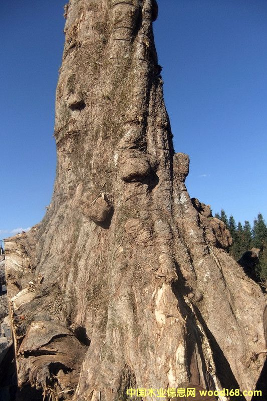 �ľ��Ԕ����B