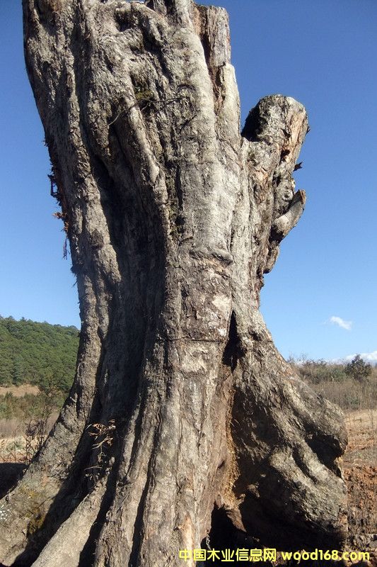 �ľ��Ԕ����B