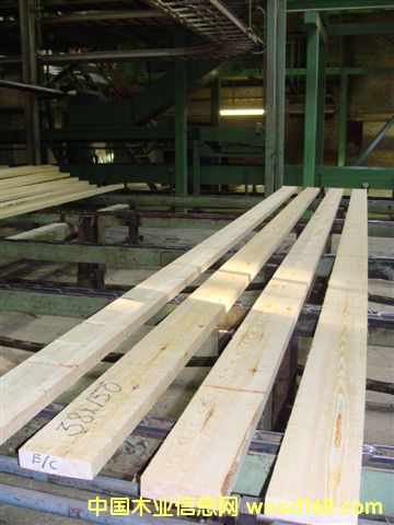 ���_˹�����ɺ��Ҏ(gu��)��ĵ�Ԕ����B