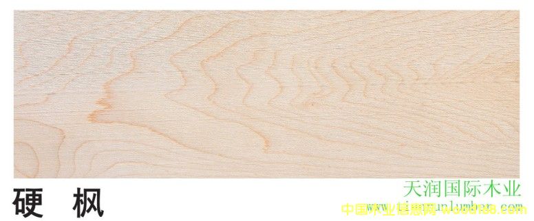 Ӳ����Ԕ����B