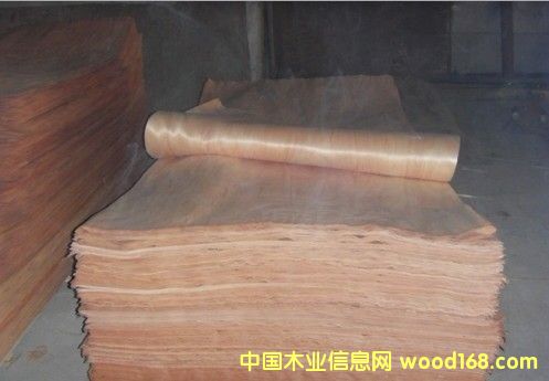 �һ�����Ƥ��Ԕ����B