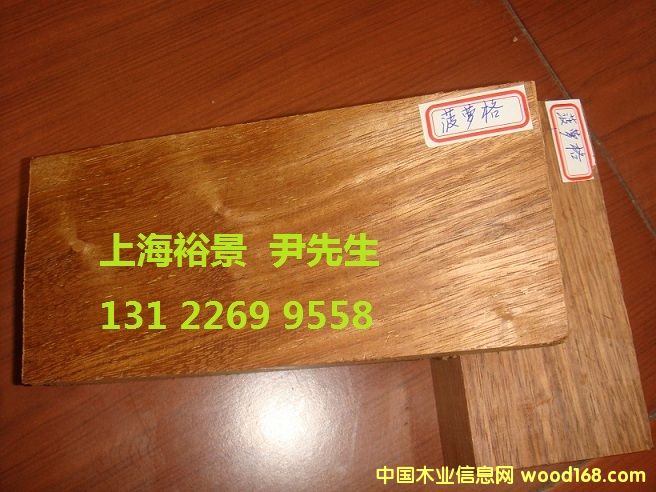 ���޲��}���Ԕ����B