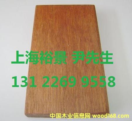 ɽ��ľ��Ԕ����B