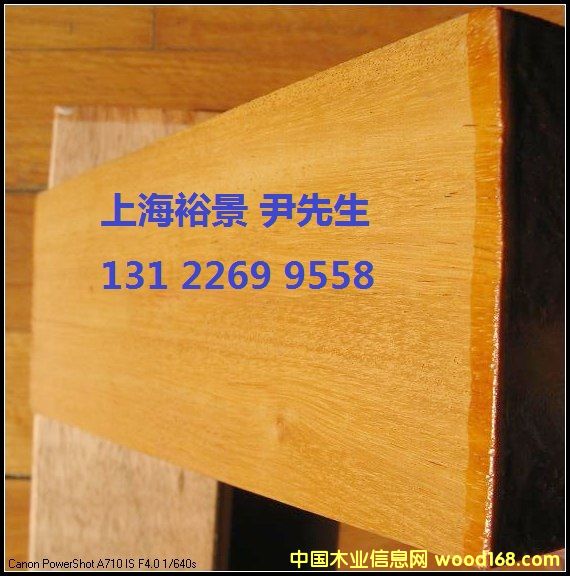 �͵�ľ��Ԕ����B